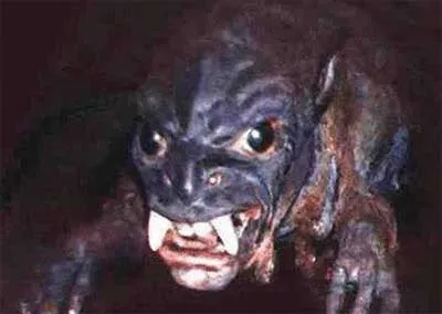 Чупакабра застреленная под Оренбургом 20.10.2011