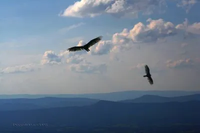 Ответ   Аркольн   В.А.Иванову (Истархову). О Свободе Слова