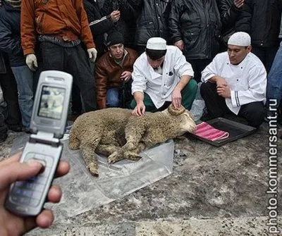 Оксана Вёльва о Курбан-Байраме 26 октября