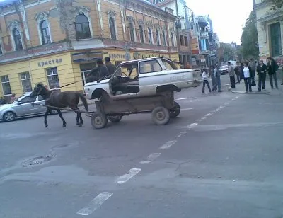 Роль лошади в формировании современной науки