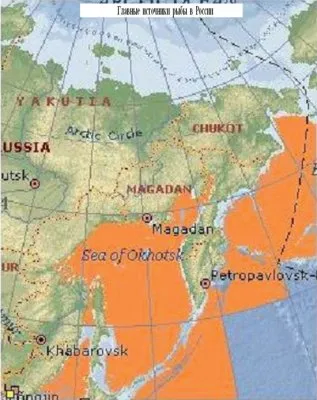 Геополитические приоритеты России на Дальнем Востоке