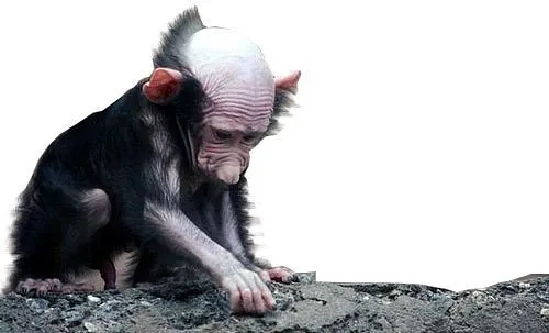 Хитропутинские Пропогандоны из ОСГО