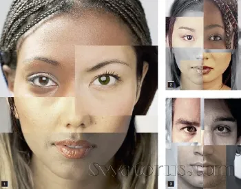 Разительные отличия Уильям Пирс