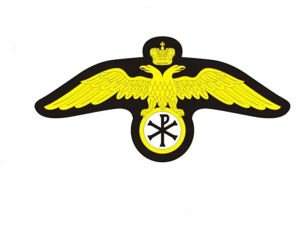 Как надо правильно проводить Русские шествия.