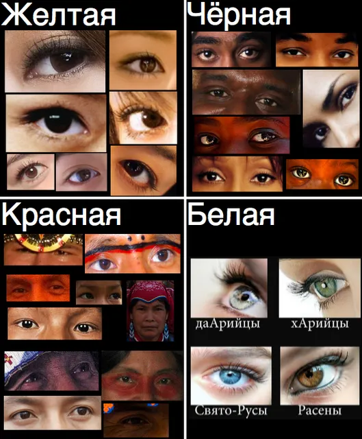 РАСА и Русская Идея. В.Б. Авдеев, А.Н. Савельев