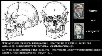 15 антропологических типов европеоидной расы