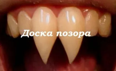 "Пьедестал" для Путина-Шаломова.