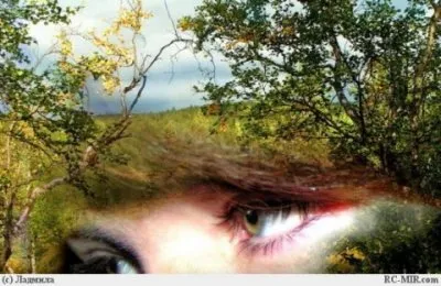 Сорок уроков русского: Урок пятый