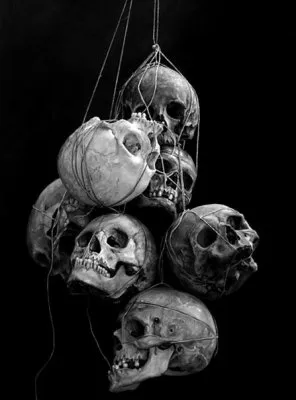 Велеслав — О символике