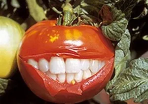 Как выявить продукты с ГМО на глаз?