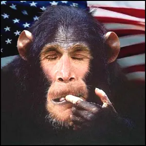 Америка и политкорректность