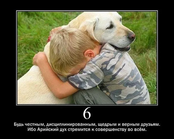 Десять Вед Расы