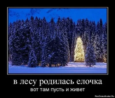 Глава группы "Русский стяг" про Новый Год. Русский Трезвый Новый Год 2013 + Плюшки и Печеньки!