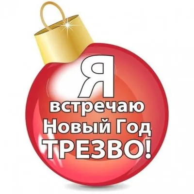 Глава группы "Русский стяг" про Новый Год. Русский Трезвый Новый Год 2013 + Плюшки и Печеньки!