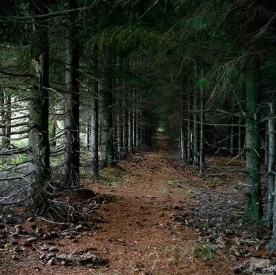 40 лучших фотографий России в 2012г.