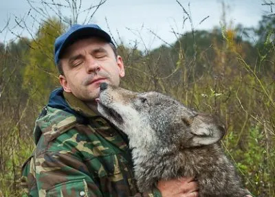 Интервью с вожаком волчьей стаи