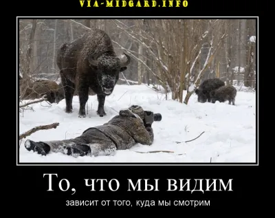 Славянские Демотиваторы Часть 19