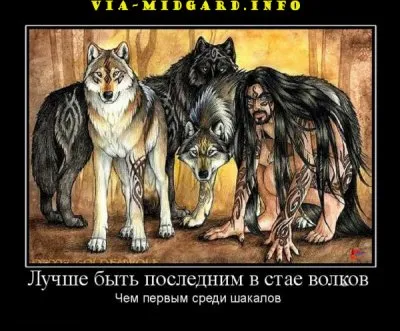 Славянские Демотиваторы Часть 19