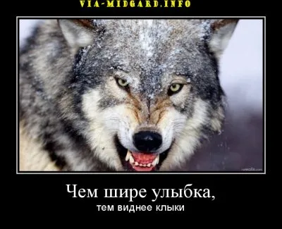 Славянские Демотиваторы Часть 19