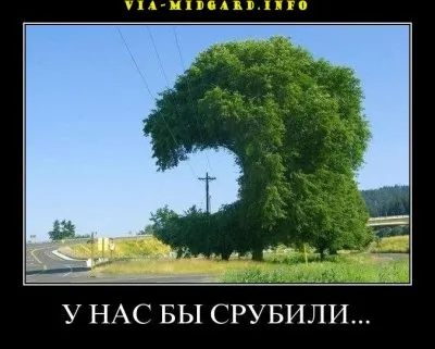 Славянские Демотиваторы Часть 19
