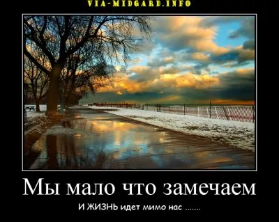 Славянские Демотиваторы Часть 19