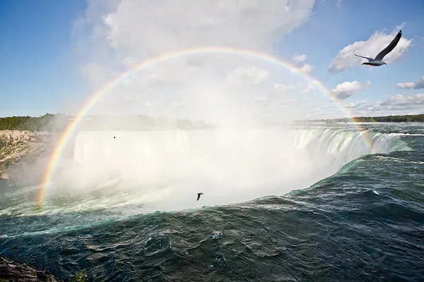uploads/posts/2013-01/1358534870_niagarafalls2012_871.webp