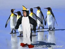 Интернет-передача «На самом деле» от 28.01.2013