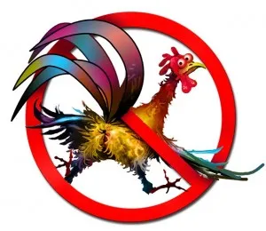 Краснодар. В действиях СМИ пропаганда гомосексуализма? Что скажет прокурор?