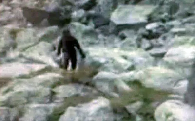 Снежный человек напугал девушку в Татрах