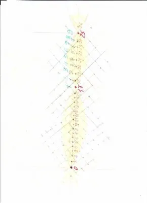 Структура  ДНКа РАССА в общей структуре мироздания и РОДственных ветвей древа РОДа