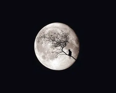 Время женской силы именно сейчас