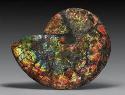 КАМЕНЬ: ФОРМА РАЗУМНОЙ ЖИЗНИ?