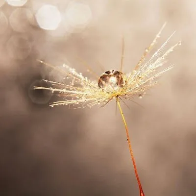 Символика воды у Славян