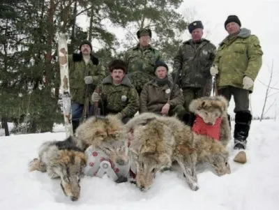 Режим ЧС введен в Якутии из-за нашествия волков