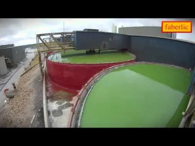 Хорошие Новости: Время - вперед! Выпуск 28