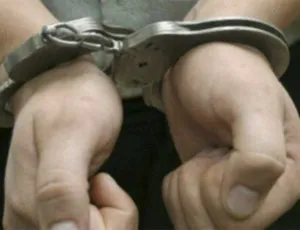 Организаторов лекций о «космических расовых войнах» поймали в Москве