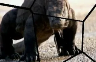 Фаш-разрушитель - Дмитрий Беранже