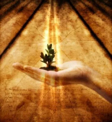 Семена мудрости.