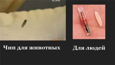 Чипирование животных идет вовсю!!!!