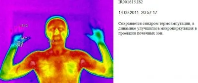 Всё об эффективном тренажере «ПравИло»