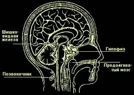 Третий глаз