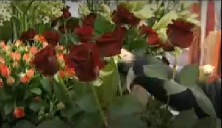 8 Марта - трезвый женский праздник