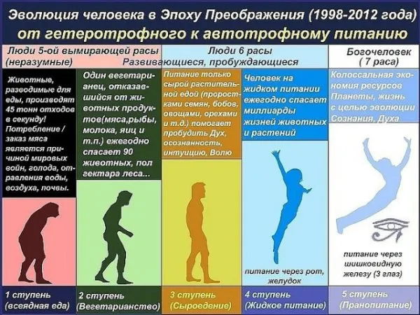 Праноедение