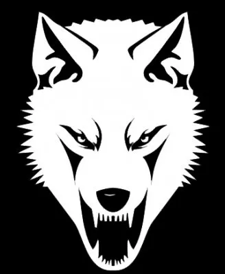 Сопротивление МАСЛЕНИЦА 17 марта г. Владимир 2013