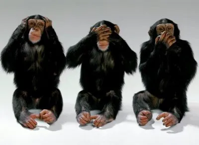 Не вижу, не слышу, не говорю!