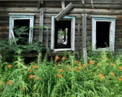 Как вымирает Россия. Карта опустевших городов