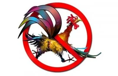 Гомосексуализм НЕ норма (ЗАПРЕЩЕННОЕ ВИДЕО)