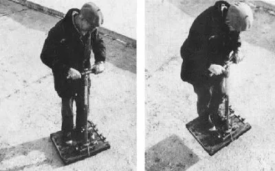 Сокровенная тайна живой Природы. (Виктор Гребенников)