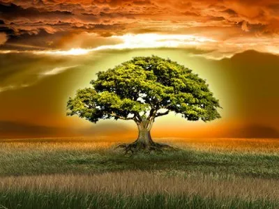 Что на Роду Написано