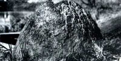 Апрельские мистерии у минского камня Дед